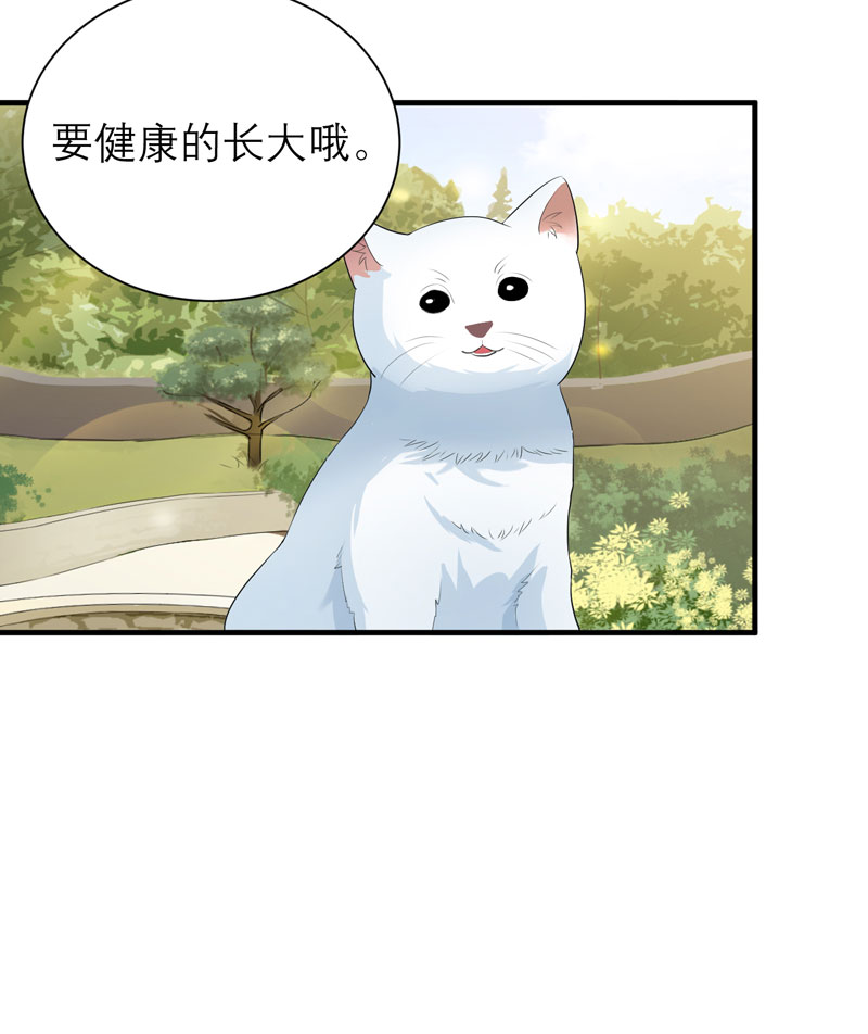 《总裁的替嫁新娘》漫画最新章节第53章：跟我联手吧免费下拉式在线观看章节第【5】张图片