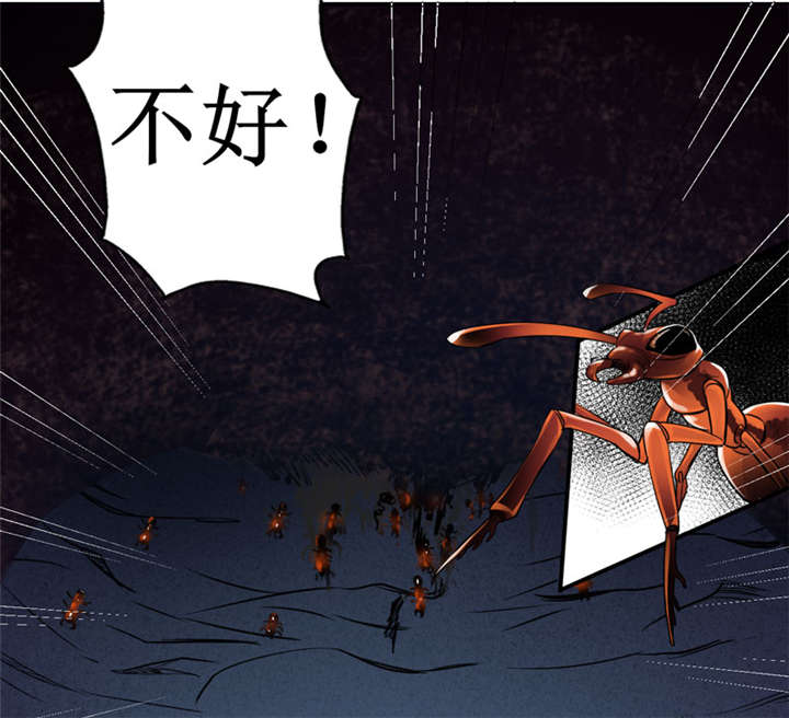 《我是捡金师》漫画最新章节第12章：蚂蚁来了，快跑！免费下拉式在线观看章节第【2】张图片