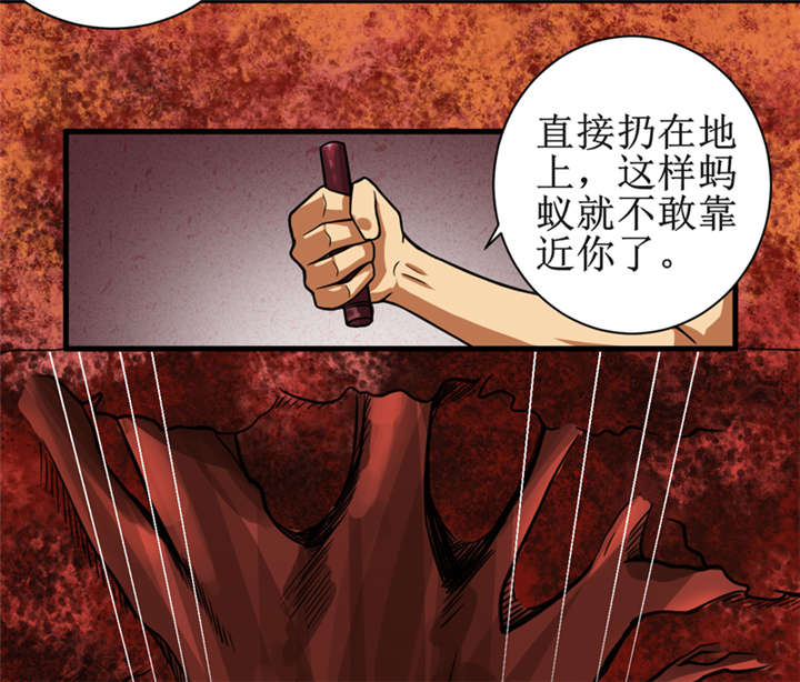 《我是捡金师》漫画最新章节第14章：太古血刃免费下拉式在线观看章节第【29】张图片