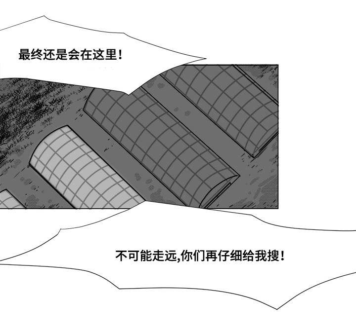 《听牌》漫画最新章节第25章：赶紧上来免费下拉式在线观看章节第【29】张图片