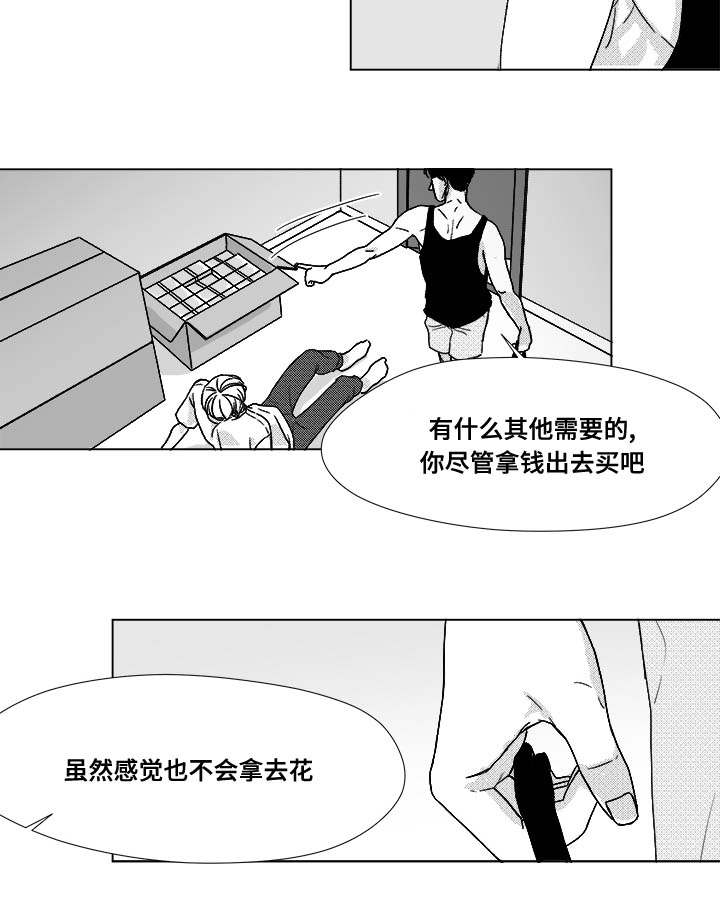 《听牌》漫画最新章节第34章：捡到的免费下拉式在线观看章节第【5】张图片