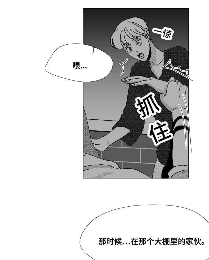 《听牌》漫画最新章节第36章：难道不是吗免费下拉式在线观看章节第【17】张图片