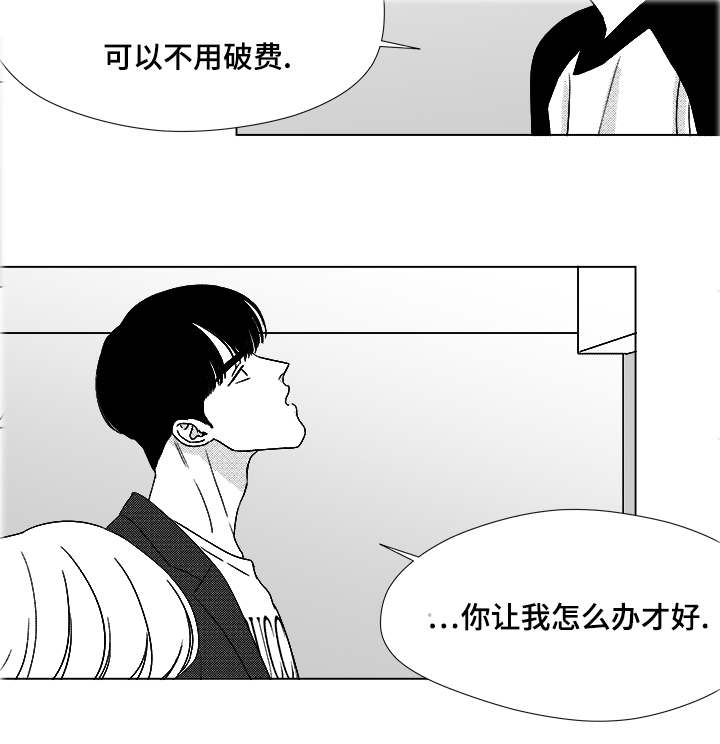 《听牌》漫画最新章节第52章：你让我怎么办才好免费下拉式在线观看章节第【1】张图片