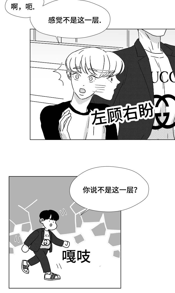 《听牌》漫画最新章节第53章：旋律免费下拉式在线观看章节第【12】张图片