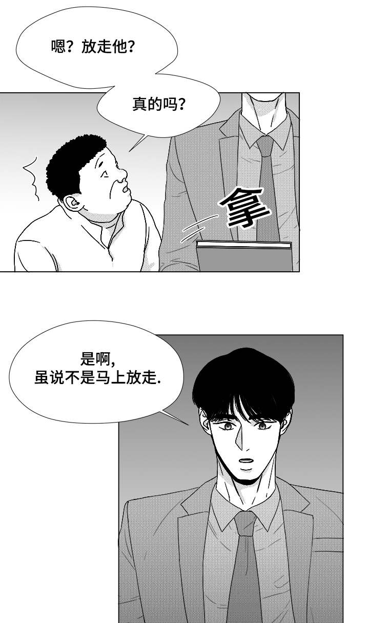 《听牌》漫画最新章节第58章：可惜了免费下拉式在线观看章节第【2】张图片