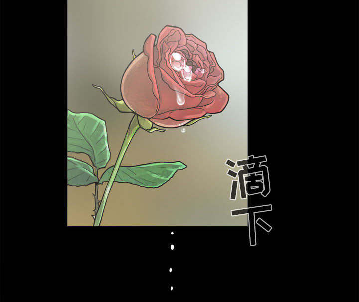 《荒岛奇案》漫画最新章节第9章：捷足先登免费下拉式在线观看章节第【28】张图片