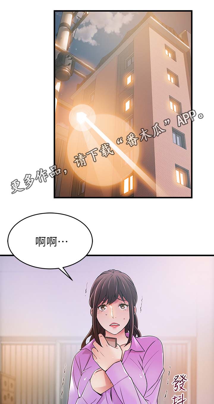 《西洋事务所》漫画最新章节第72章：已经是奇迹了免费下拉式在线观看章节第【16】张图片