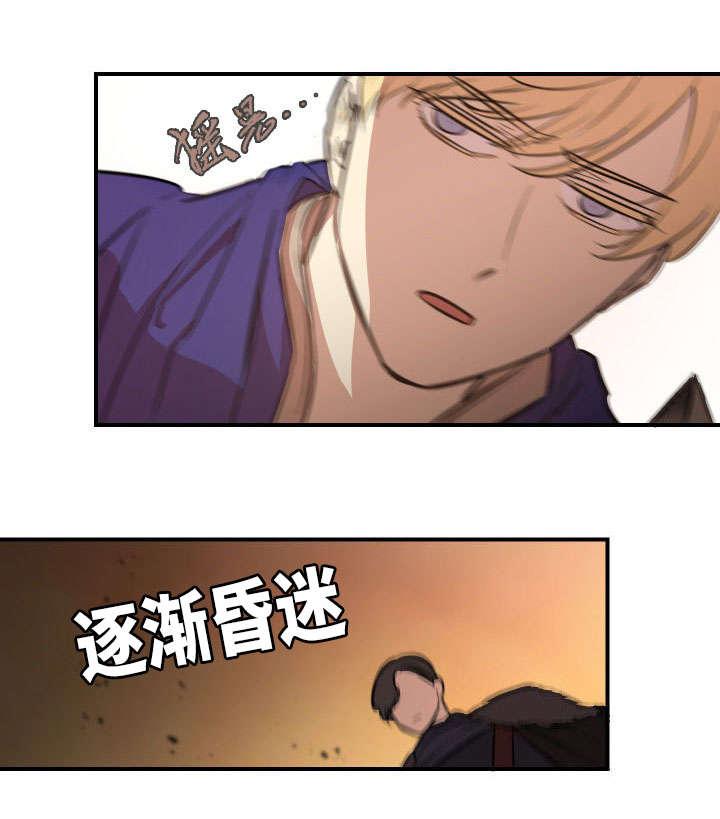 《通敌》漫画最新章节第2章：俘虏免费下拉式在线观看章节第【17】张图片