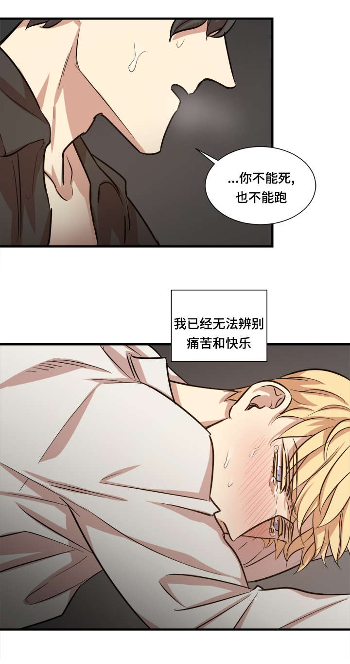 《通敌》漫画最新章节第38章：时机到了免费下拉式在线观看章节第【10】张图片