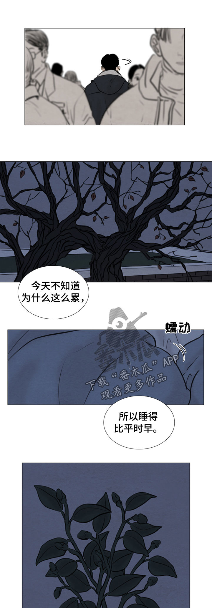 夜惊梦魇-第108章：【第二季】花朵绽放全彩韩漫标签