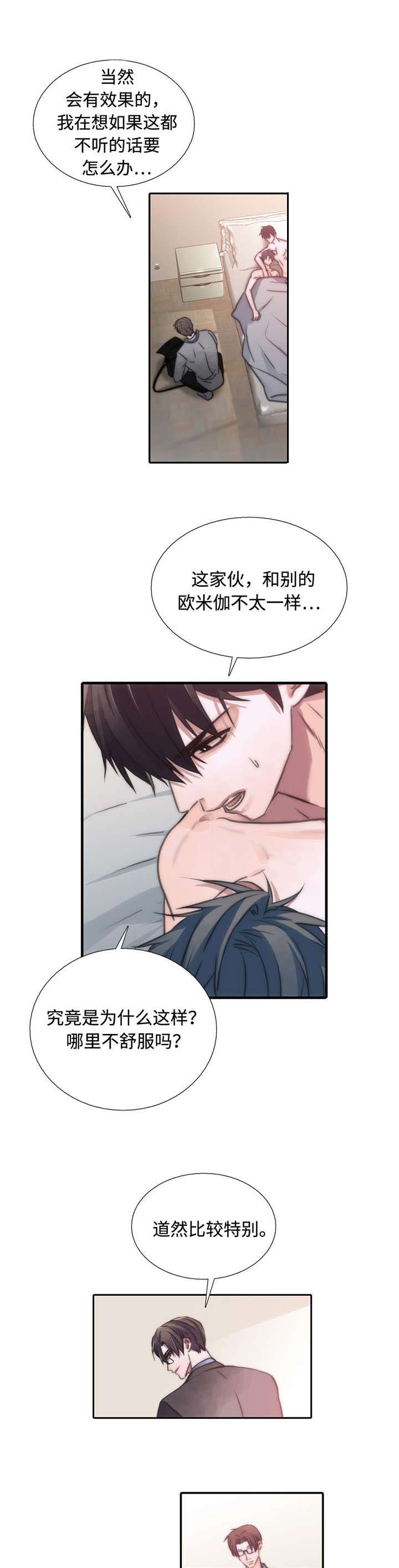 《觉醒周期》漫画最新章节第28章：特别免费下拉式在线观看章节第【9】张图片