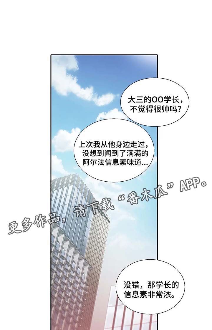 《觉醒周期》漫画最新章节第62章：名字的由来免费下拉式在线观看章节第【10】张图片