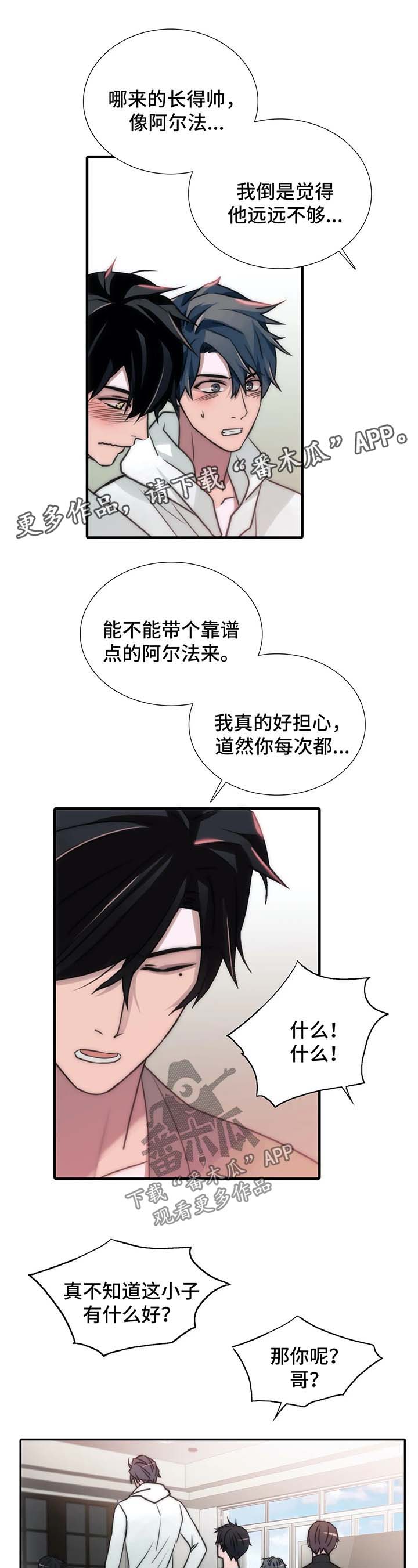 《觉醒周期》漫画最新章节第91章：哥哥们免费下拉式在线观看章节第【6】张图片