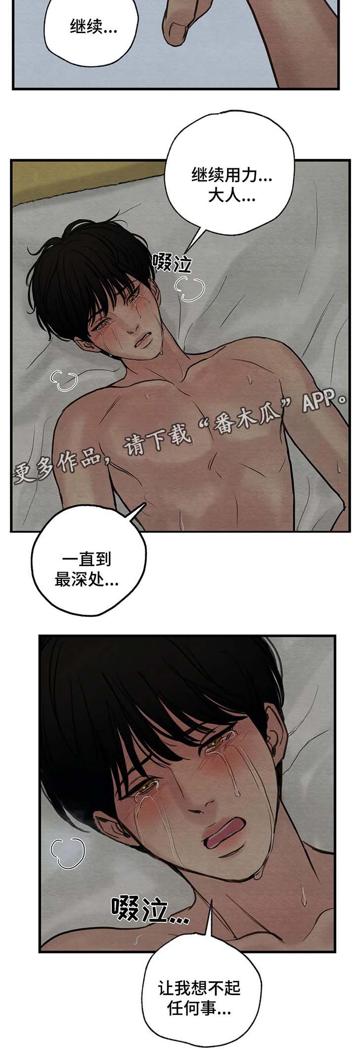 《夜画》漫画最新章节第72章：自作多情免费下拉式在线观看章节第【7】张图片