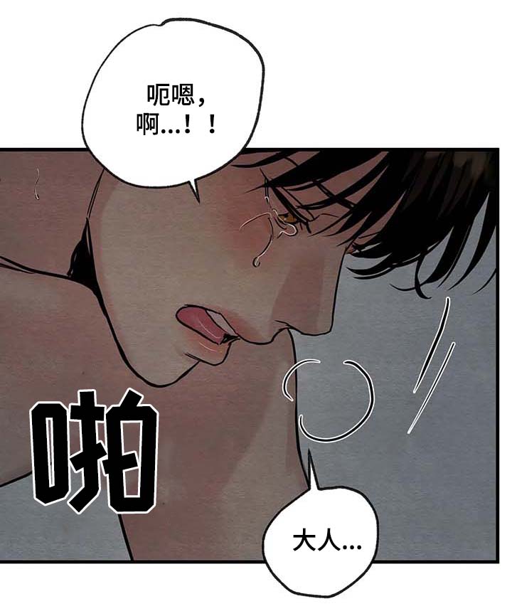 《夜画》漫画最新章节第86章：【第二季】最适合我免费下拉式在线观看章节第【4】张图片