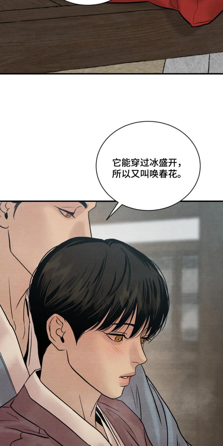 《夜画》漫画最新章节第212章：【第四季】福寿草免费下拉式在线观看章节第【8】张图片