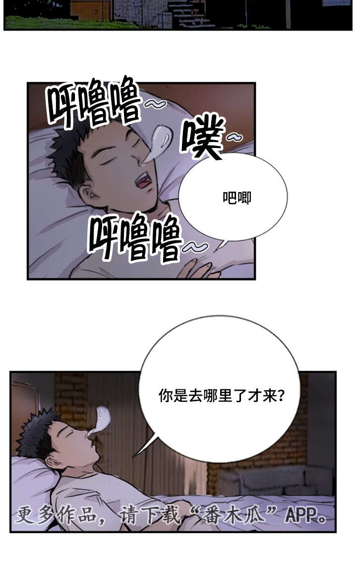 《探星》漫画最新章节第13章：他的美梦免费下拉式在线观看章节第【7】张图片