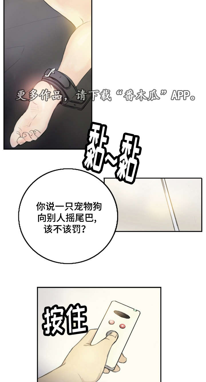 《探星》漫画最新章节第27章：会杀死你免费下拉式在线观看章节第【8】张图片