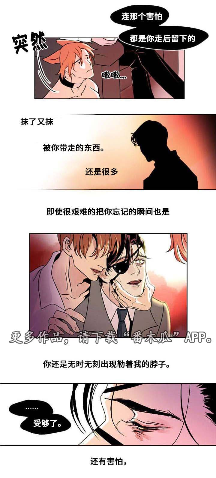 《囚兵》漫画最新章节第7章：相像之人免费下拉式在线观看章节第【6】张图片