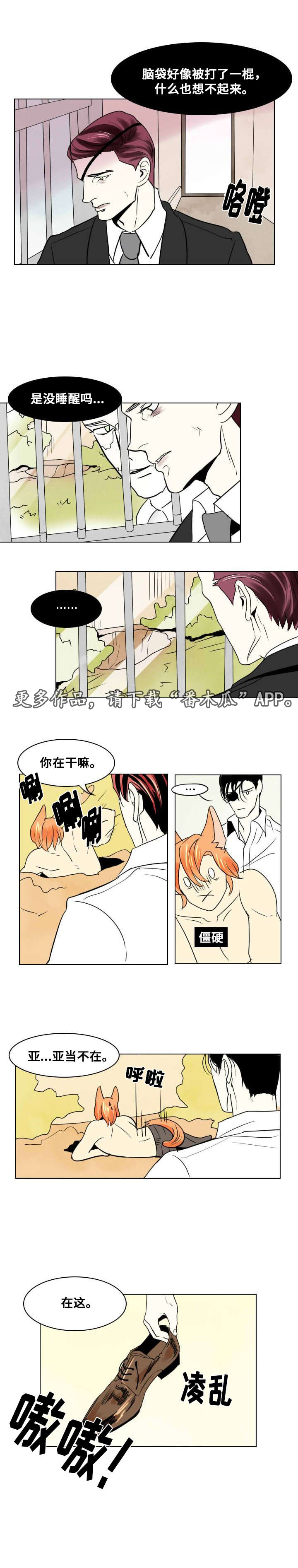 《囚兵》漫画最新章节第17章：留下免费下拉式在线观看章节第【3】张图片