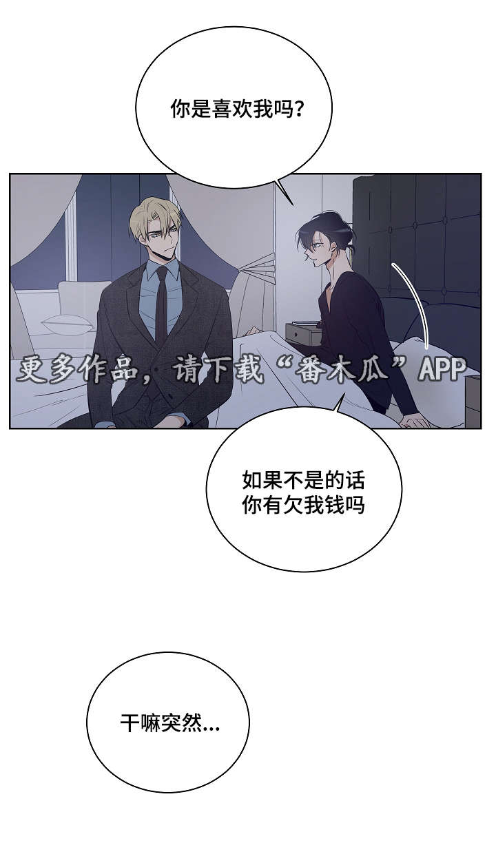 《连环圈套》漫画最新章节第19章：我想相信你免费下拉式在线观看章节第【7】张图片