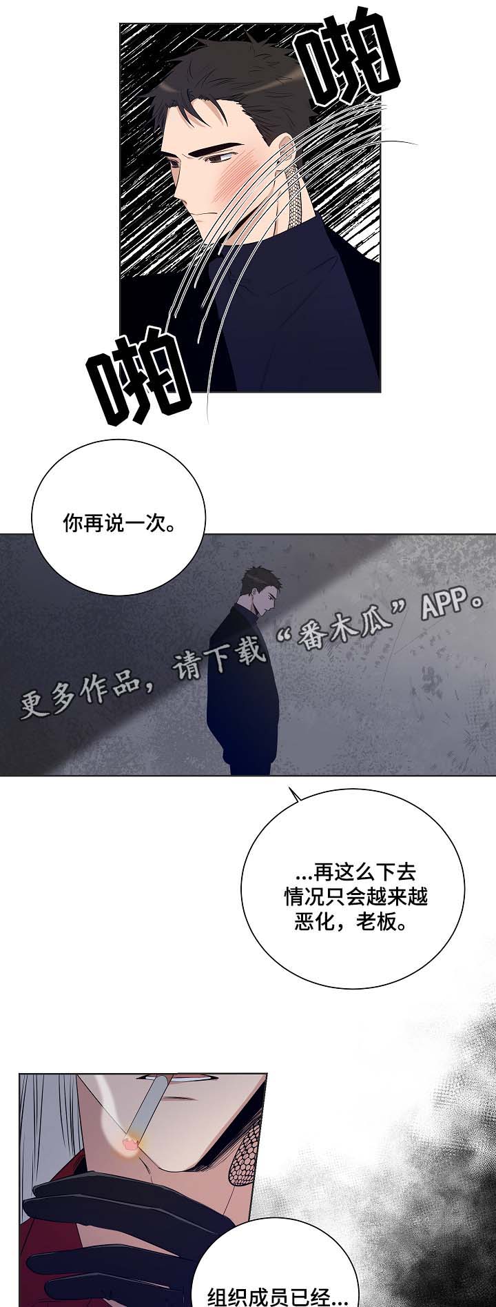 《连环圈套》漫画最新章节第39章：是时候了免费下拉式在线观看章节第【14】张图片