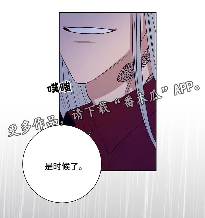 《连环圈套》漫画最新章节第39章：是时候了免费下拉式在线观看章节第【5】张图片