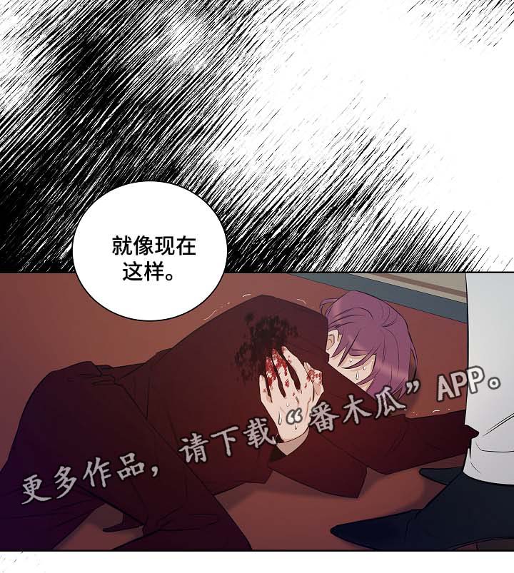 《连环圈套》漫画最新章节第46章：挡箭牌免费下拉式在线观看章节第【1】张图片