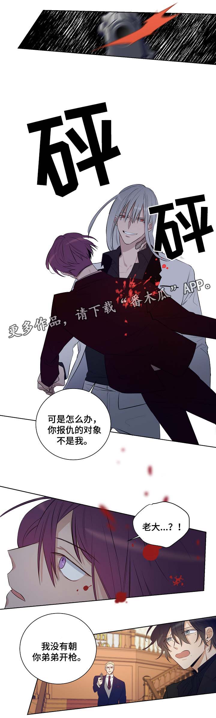 《连环圈套》漫画最新章节第46章：挡箭牌免费下拉式在线观看章节第【3】张图片