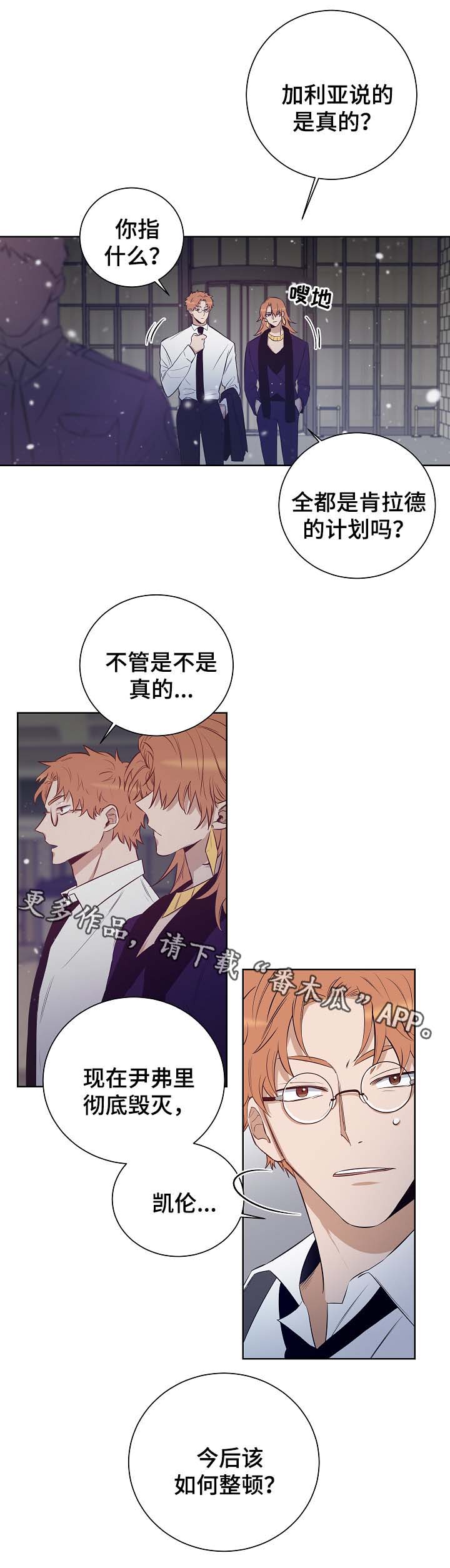 《连环圈套》漫画最新章节第50章：尘埃落定免费下拉式在线观看章节第【10】张图片