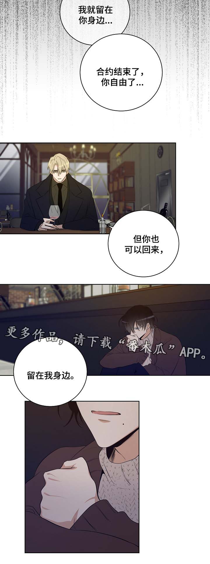 《连环圈套》漫画最新章节第54章：因为喜欢你免费下拉式在线观看章节第【11】张图片