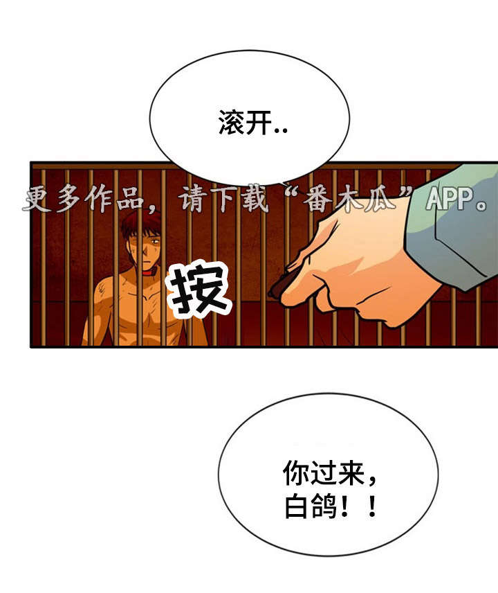 《孤岛游魂》漫画最新章节第24章：建议免费下拉式在线观看章节第【8】张图片