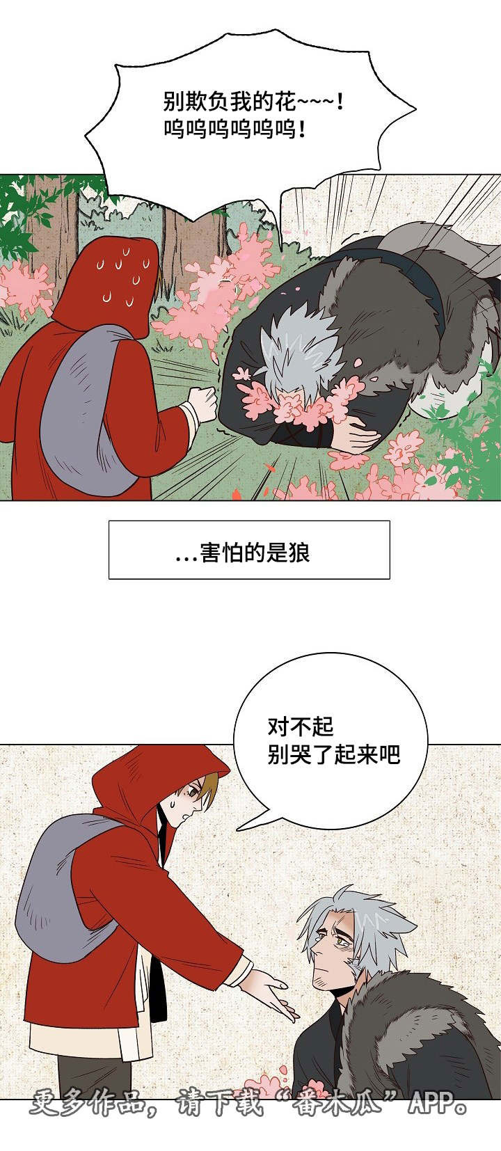 《千古传说》漫画最新章节第22章：小红帽与狼免费下拉式在线观看章节第【7】张图片