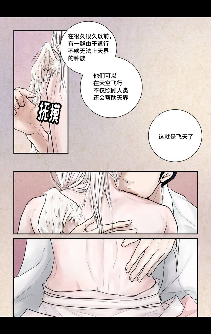 《飞天之血》漫画最新章节第4章：很好玩啊免费下拉式在线观看章节第【13】张图片