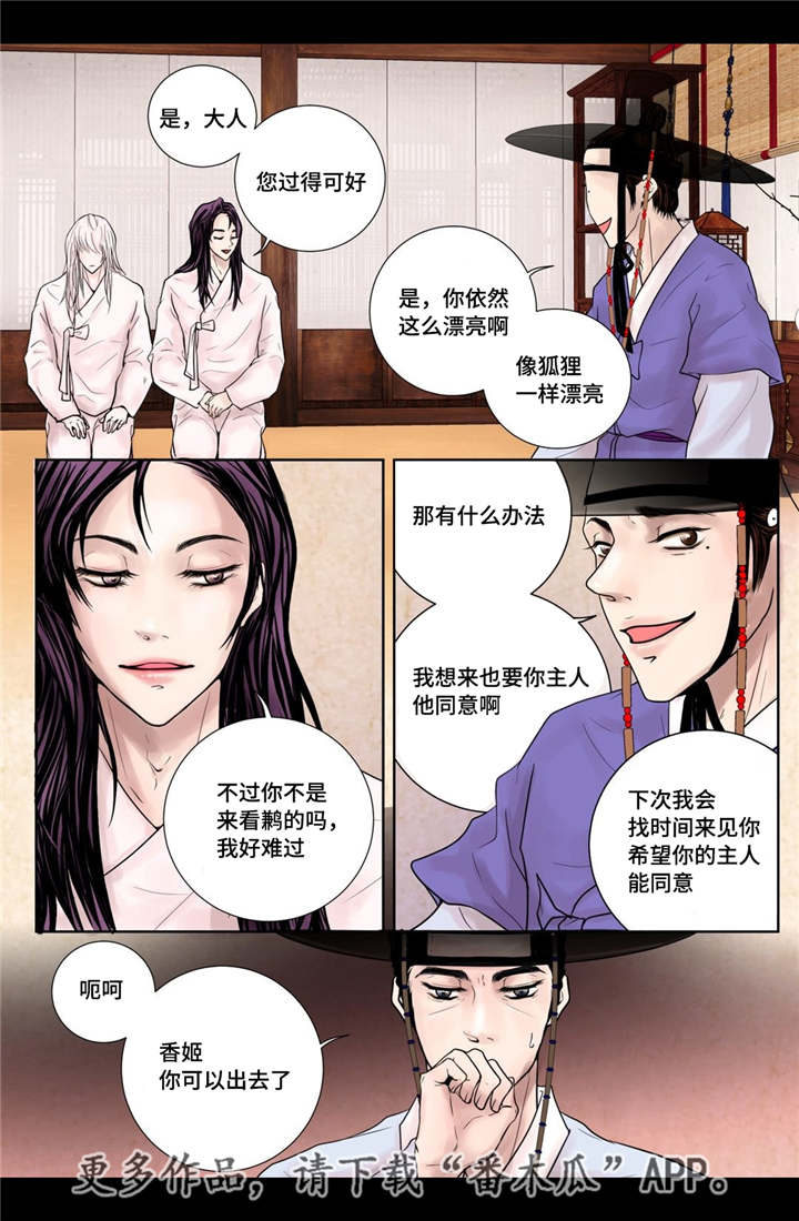 《飞天之血》漫画最新章节第14章：美丽动人免费下拉式在线观看章节第【8】张图片