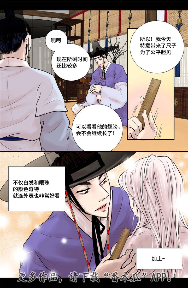 《飞天之血》漫画最新章节第14章：美丽动人免费下拉式在线观看章节第【4】张图片