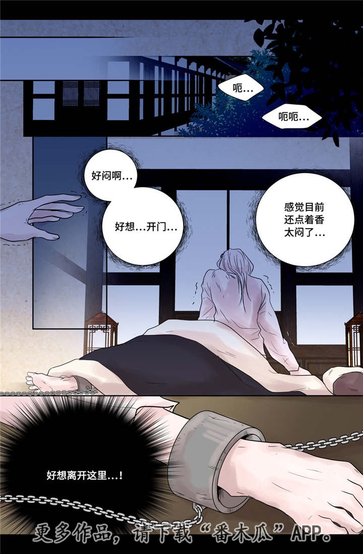 《飞天之血》漫画最新章节第15章：独一无二免费下拉式在线观看章节第【7】张图片