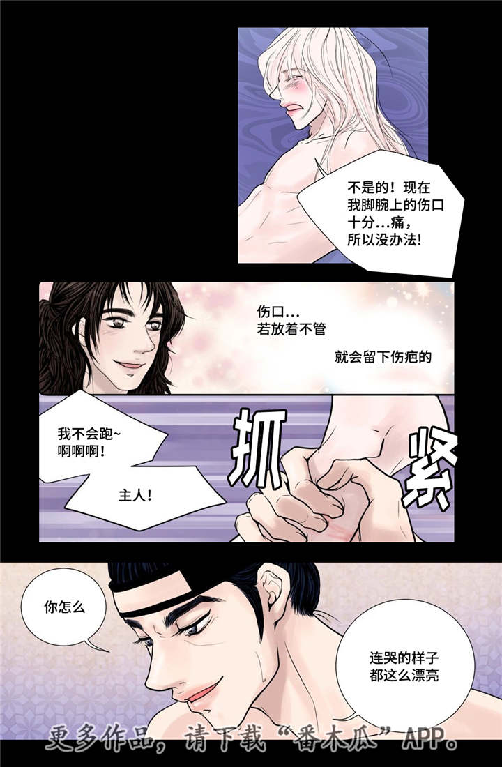 《飞天之血》漫画最新章节第18章：牢牢抓住免费下拉式在线观看章节第【5】张图片