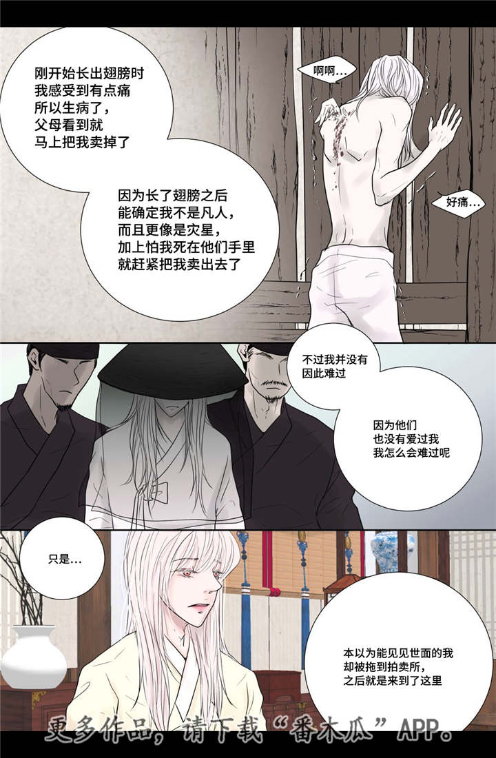 《飞天之血》漫画最新章节第18章：牢牢抓住免费下拉式在线观看章节第【17】张图片