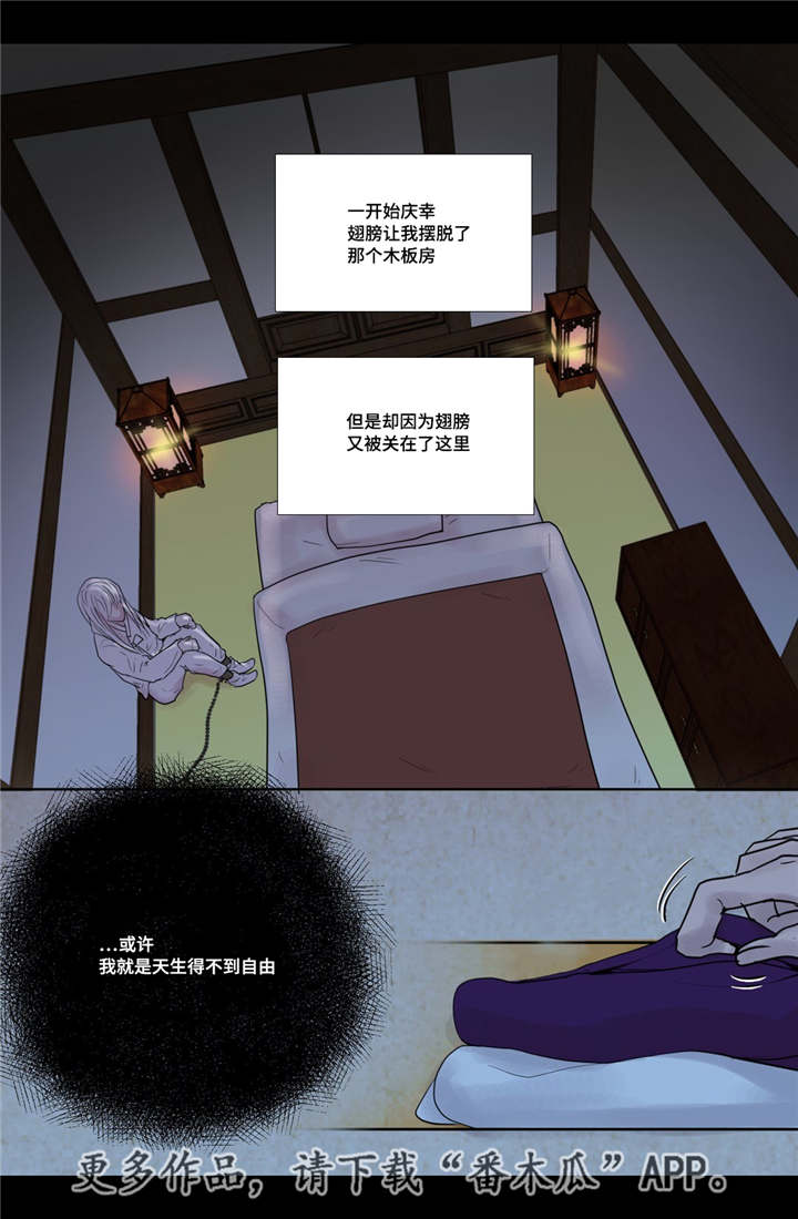 《飞天之血》漫画最新章节第18章：牢牢抓住免费下拉式在线观看章节第【16】张图片