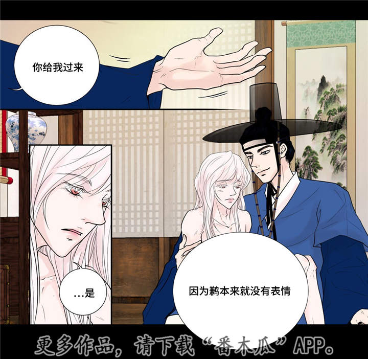 《飞天之血》漫画最新章节第25章：喜欢的人免费下拉式在线观看章节第【2】张图片