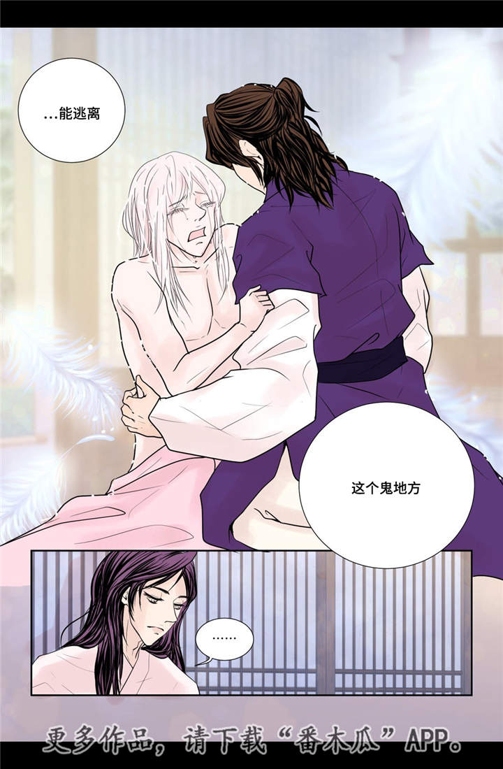 《飞天之血》漫画最新章节第26章：我想离开免费下拉式在线观看章节第【6】张图片