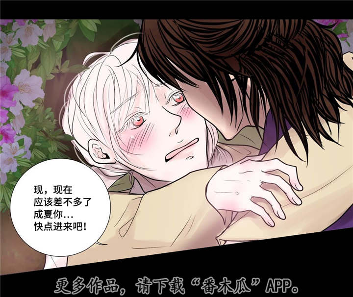 《飞天之血》漫画最新章节第32章：无法表达免费下拉式在线观看章节第【6】张图片