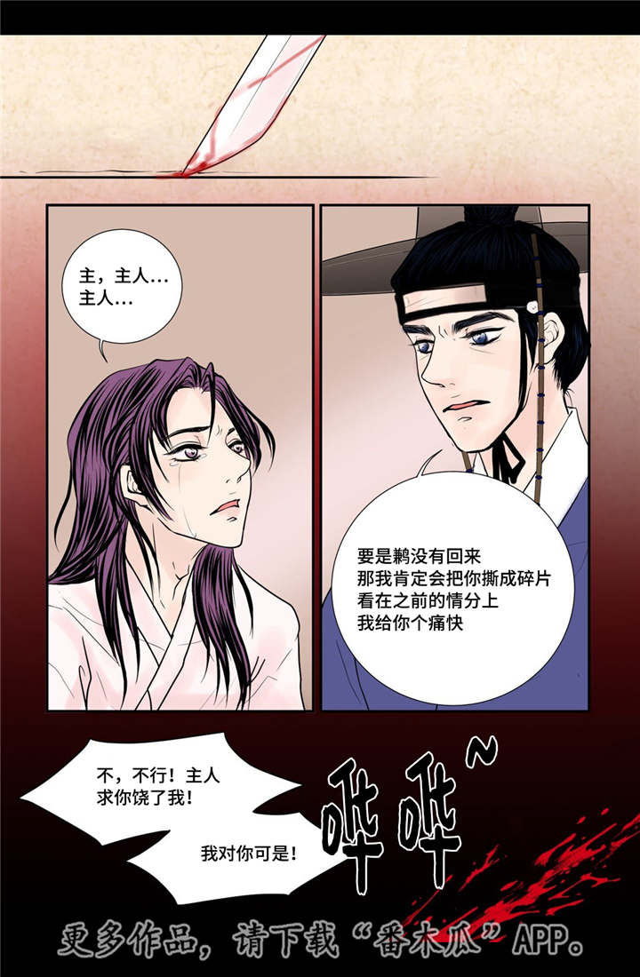 《飞天之血》漫画最新章节第37章：幸福的事免费下拉式在线观看章节第【4】张图片