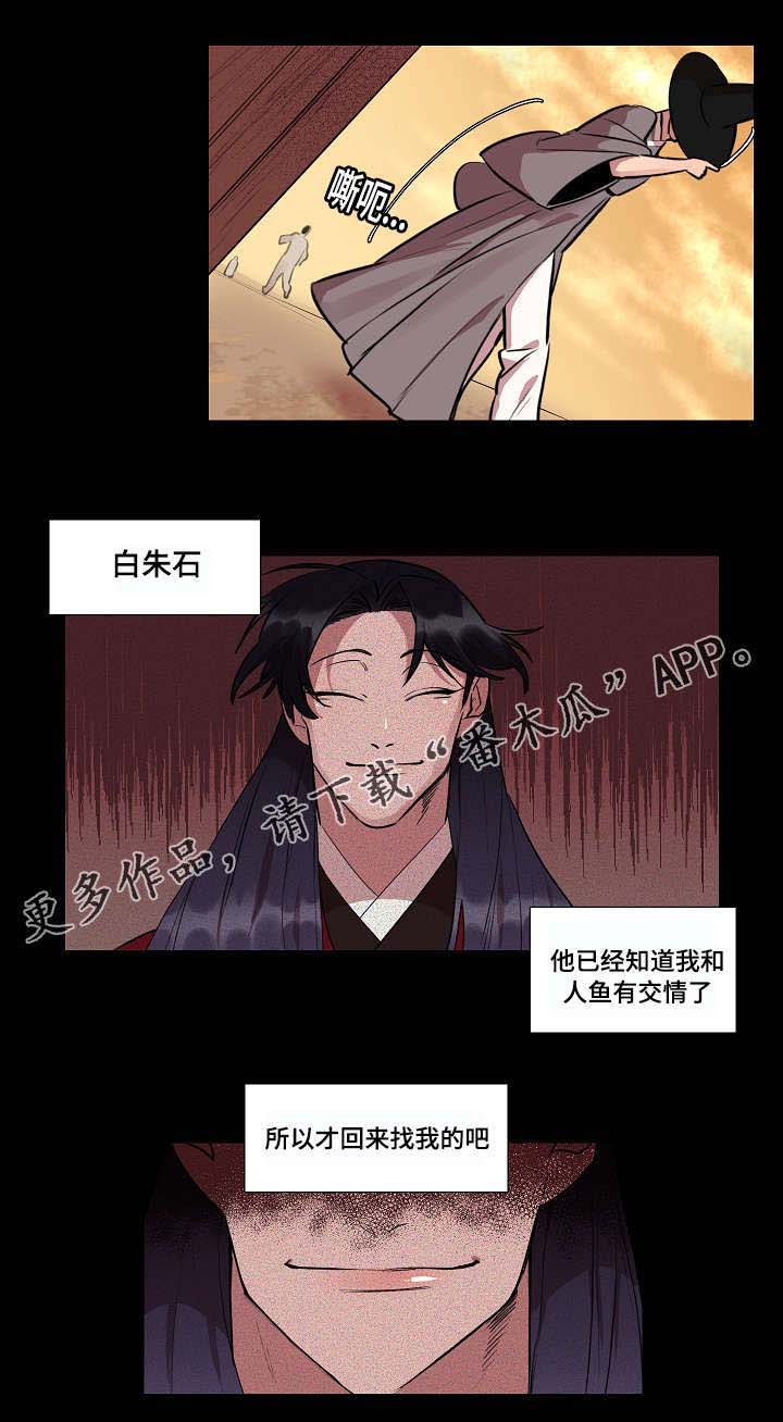 《人鱼的泪水》漫画最新章节第12章：因为我吗免费下拉式在线观看章节第【12】张图片