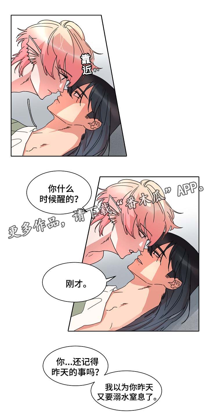 《人鱼的泪水》漫画最新章节第37章：三日后见免费下拉式在线观看章节第【6】张图片