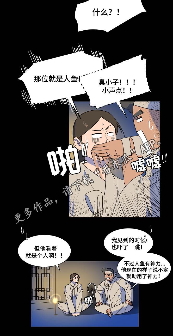 《人鱼的泪水》漫画最新章节第42章：人鱼往事免费下拉式在线观看章节第【5】张图片