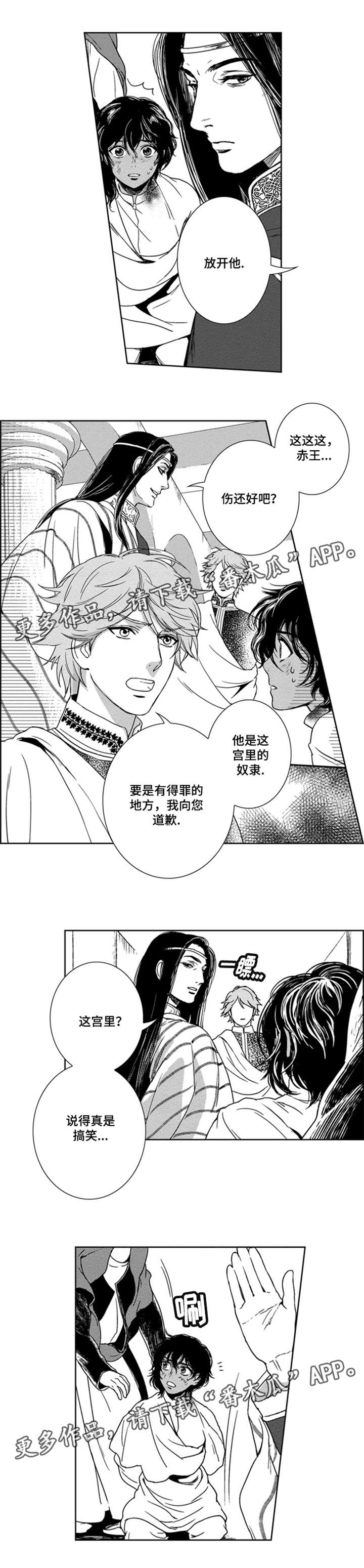 《真假术师》漫画最新章节第16章：黑王免费下拉式在线观看章节第【7】张图片