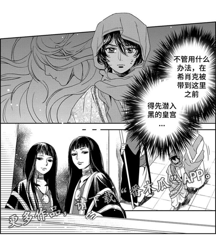 《真假术师》漫画最新章节第19章：潜入免费下拉式在线观看章节第【6】张图片