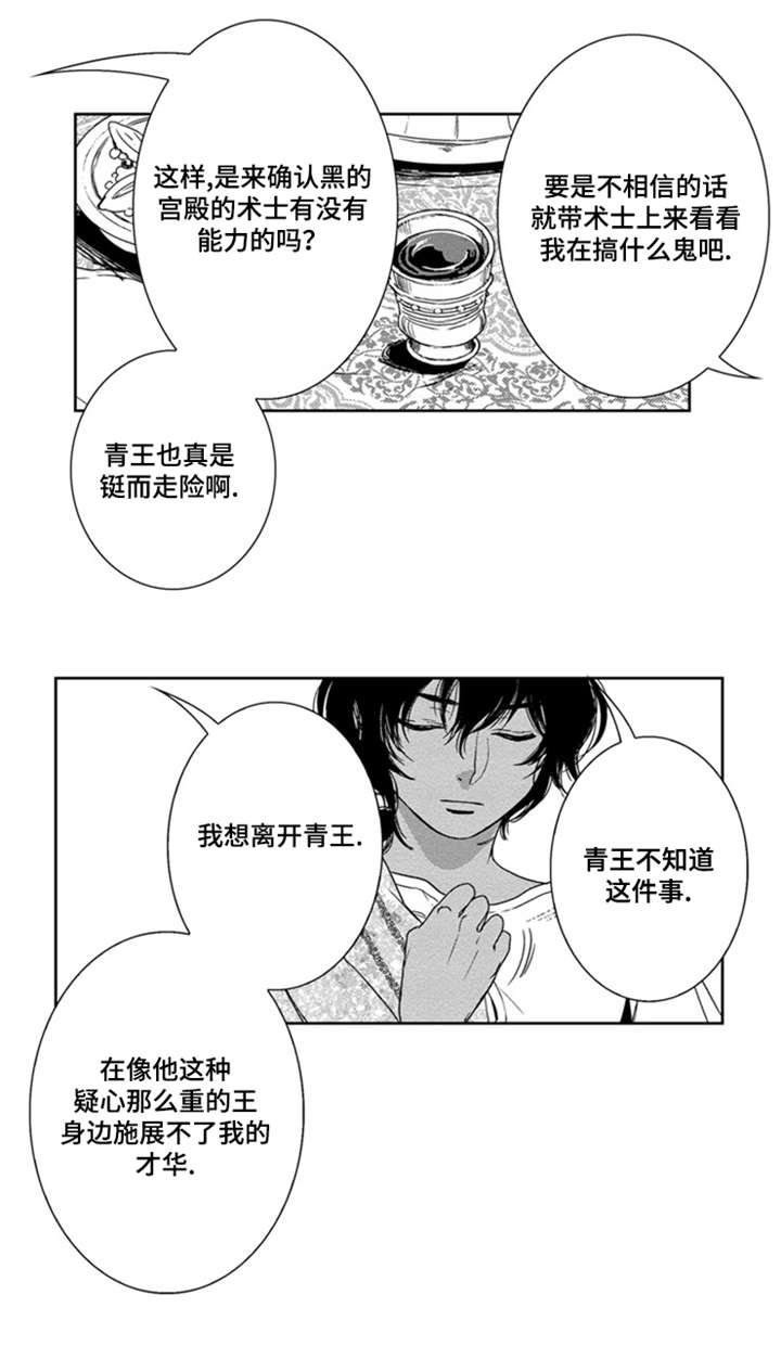 《真假术师》漫画最新章节第20章：一定会来免费下拉式在线观看章节第【9】张图片